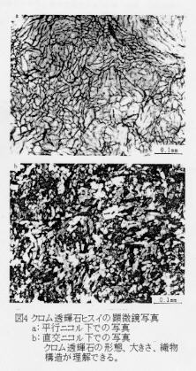 図4クロム透輝石ヒスイの顕微鏡写真
